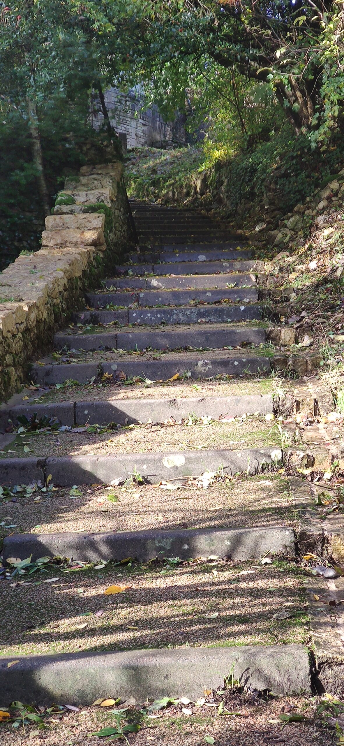 Et Si la Confiance en Soi N&rsquo;Existait Pas : À la Découverte d&rsquo;une Réalité Alternative »